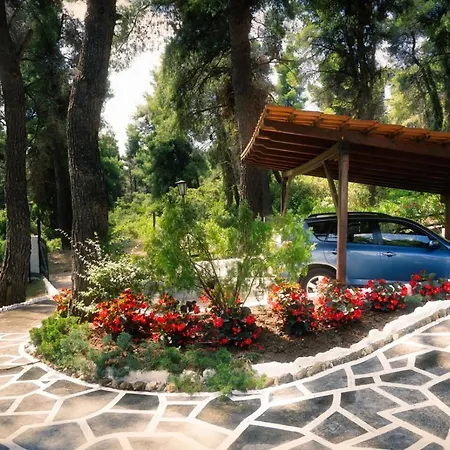 Sani Pine * Sani (Chalkidiki)