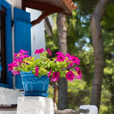 Tatil Evi Sani Pine Sani (Chalkidiki)