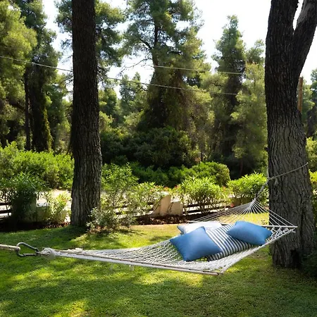 Tatil Evi Sani Pine *