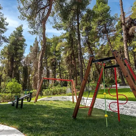 Sani Pine Sani (Chalkidiki)