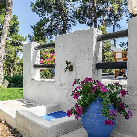 Sani Pine Tatil Evi Sani (Chalkidiki)