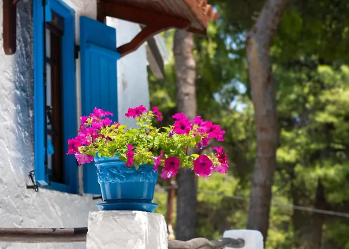 Tatil Evi Sani Pine Sani (Chalkidiki)