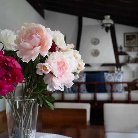 Sani Pine * Sani (Chalkidiki)