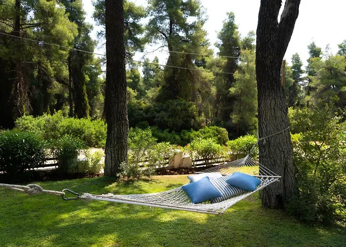 Feriehus Sani Pine *