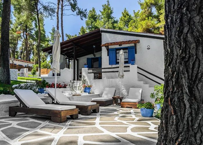 Sani Pine Sani (Chalkidiki)